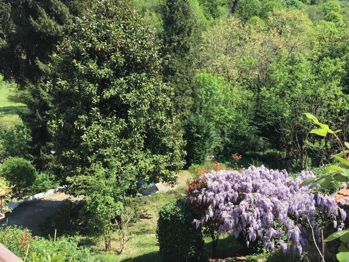 Nel House Di Rolando *